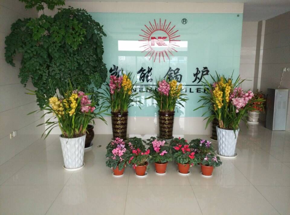 青岛凯能锅炉兰花
