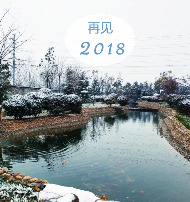 再见2018