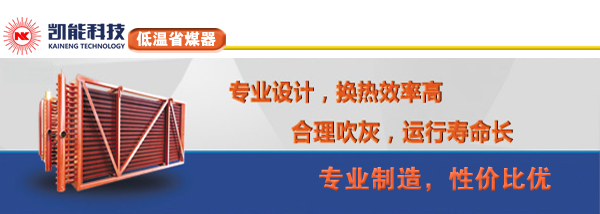 电厂低温省煤器制造厂家青岛凯能